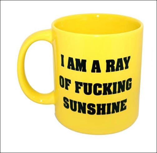 I am a ray of fucking sunshine mug