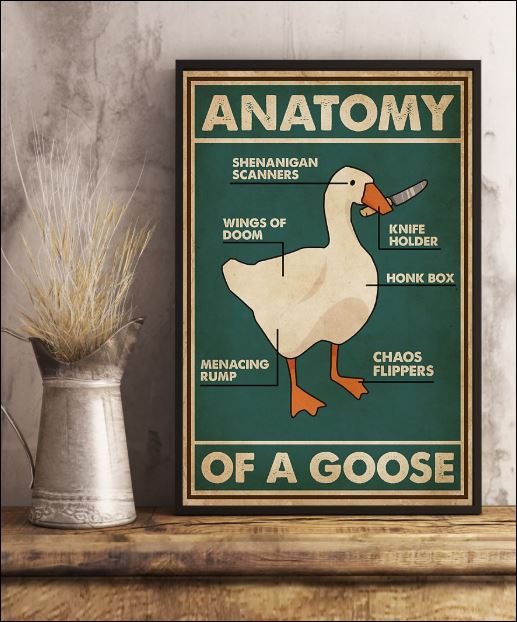 Anatomy of a goose poster