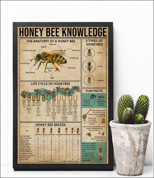 Honey Bee knowledge poster 2