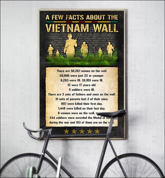 A few facts about the Vietnam Wall poster
