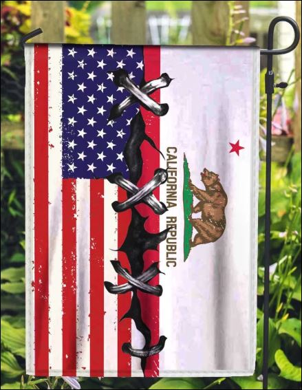 California and American flag