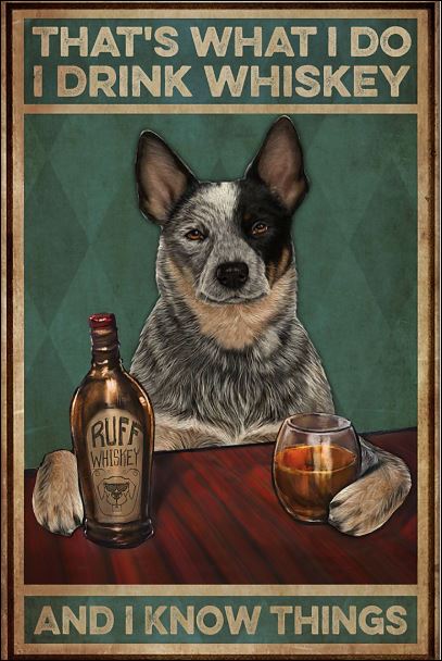 Cattle dog that's what i do i drink whiskey and i know things poster