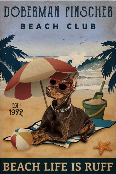 Doberman Pinscher beach club beach life is ruff poster