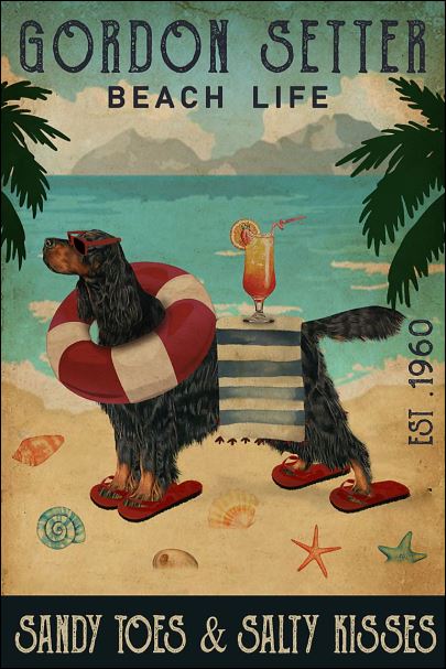 Gordon Setter beach life sandy toes and salty kisses poster