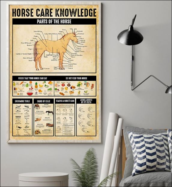 Horse care knowledge poster