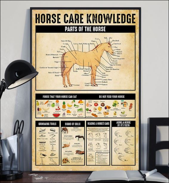 Horse care knowledge poster 2
