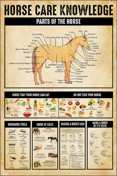 Horse care knowledge poster