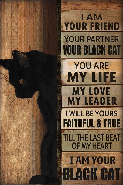I am your friend i am your black cat poster