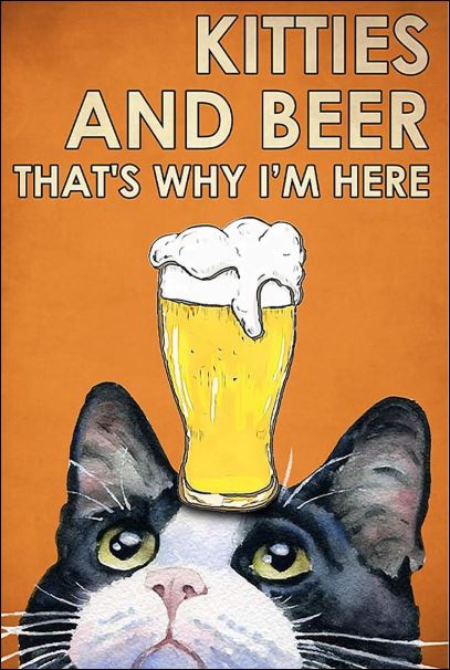 Kitties and beer that's why i'm here poster