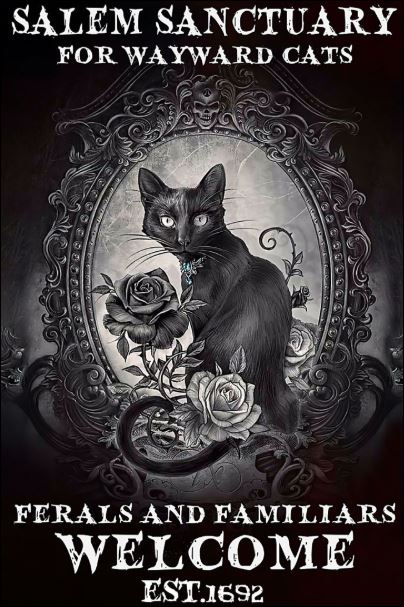Salem sanctuary for wayward cats ferals and familiars welcome poster