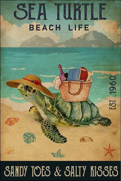Sea turtle beach life sandy toes and salty kisses poster