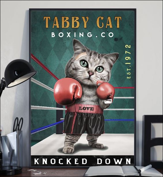 Tabby cat boxing co knocked down poster 1