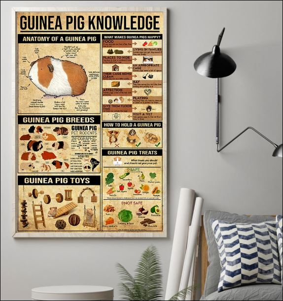 Guinea pig knowledge poster 1
