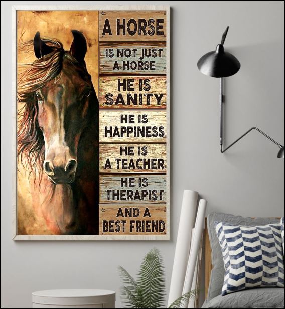 A horse is not just a horse poster 1