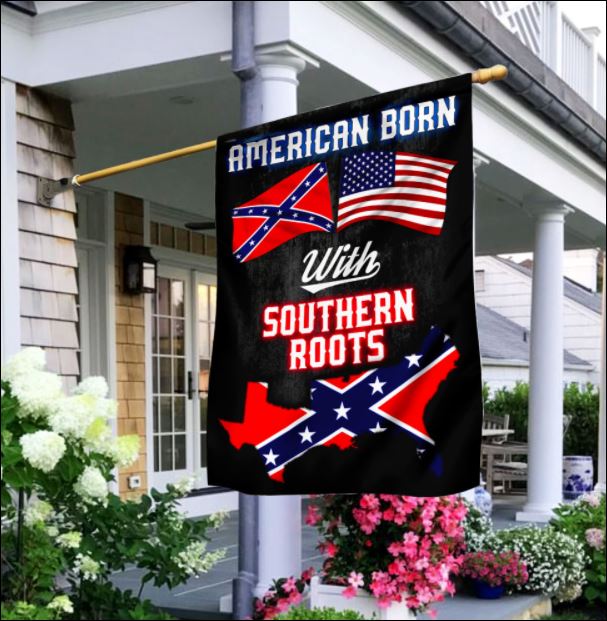 American born with southern roots flag