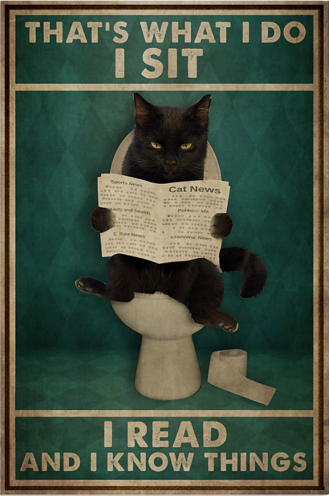 Black cat that's what i do i sit i read and i know things poster