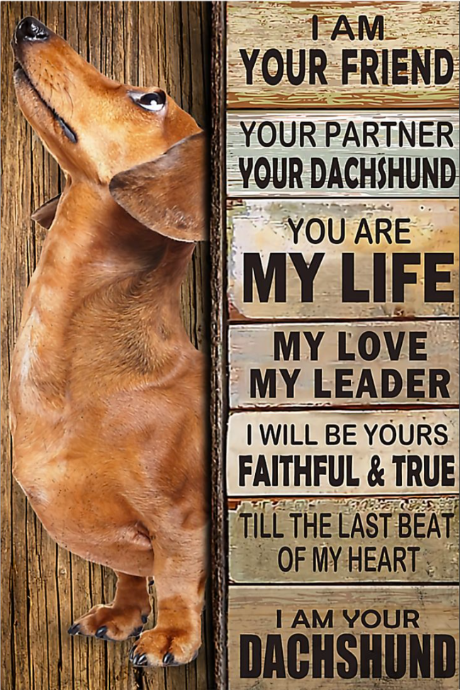 I am your friend i am your Dachshund poster
