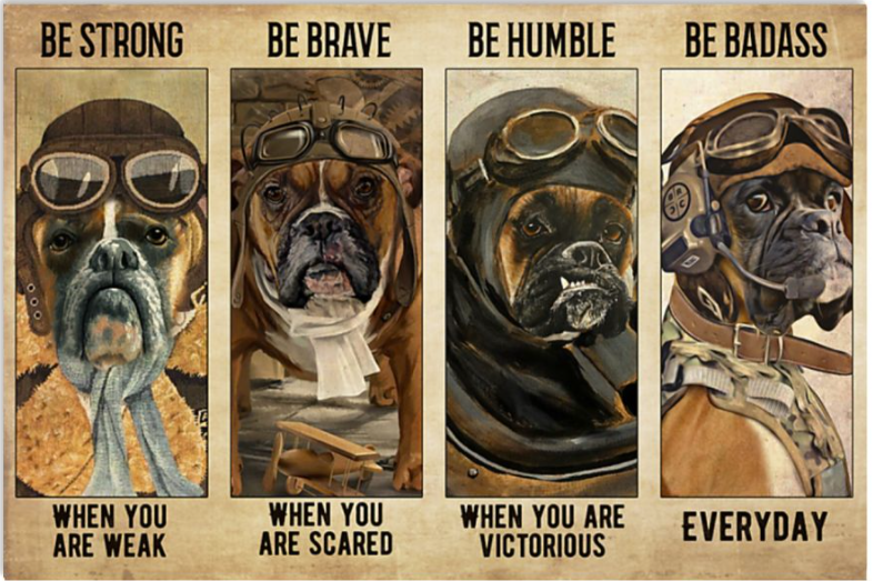 Boxer pilot be strong when you are weak be brave when you are scared poster