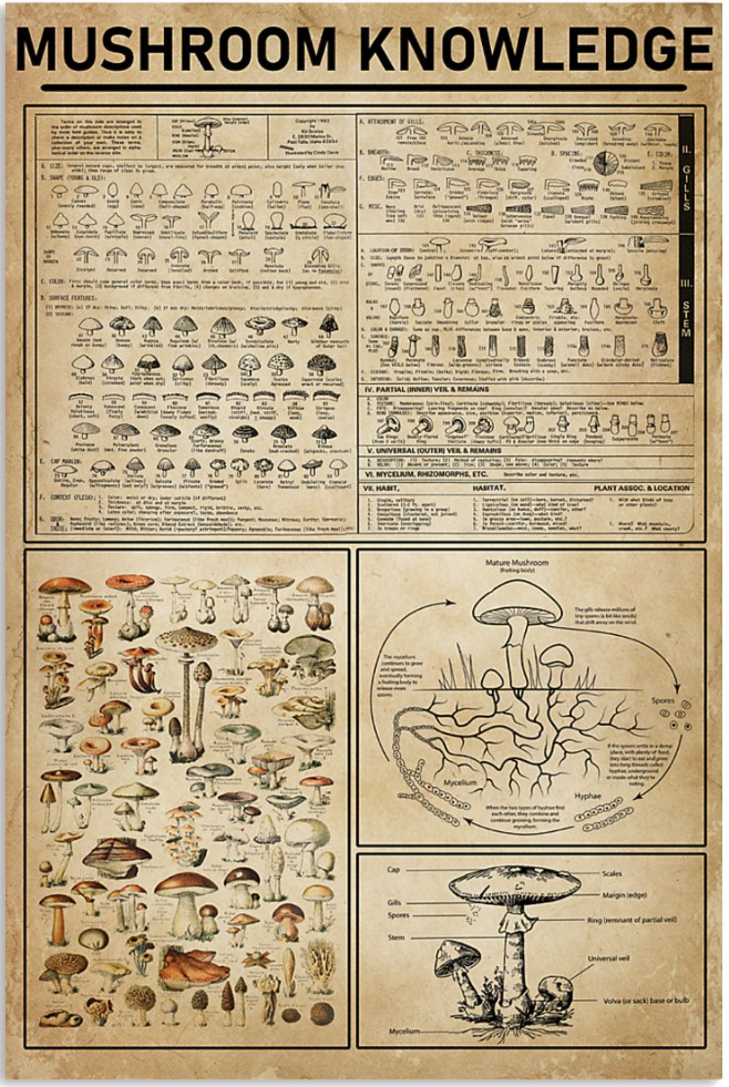 Mushroom knowledge poster