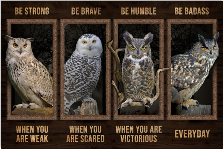 Owls be strong when you are weak be brave when you are scared poster
