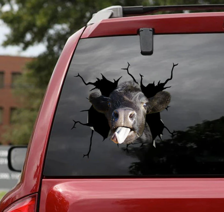 Angus cow crack decal