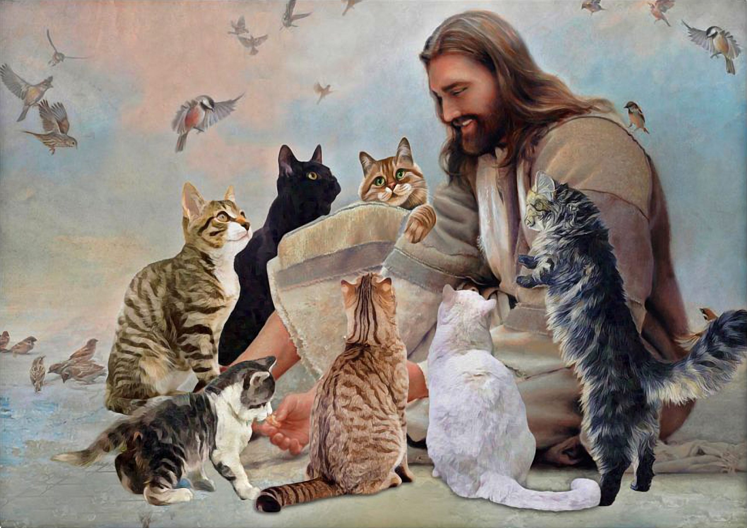 God surrounded by Cats angels poster