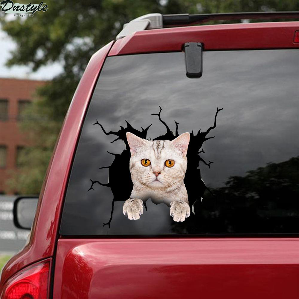 British shorthair cute cat crack car sticker cats lover