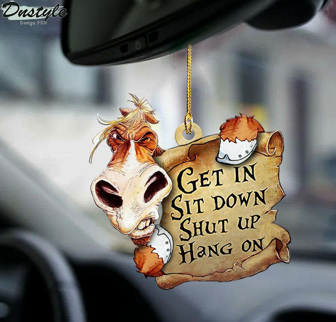 Horse get in sit down shut up hang on ornament 1