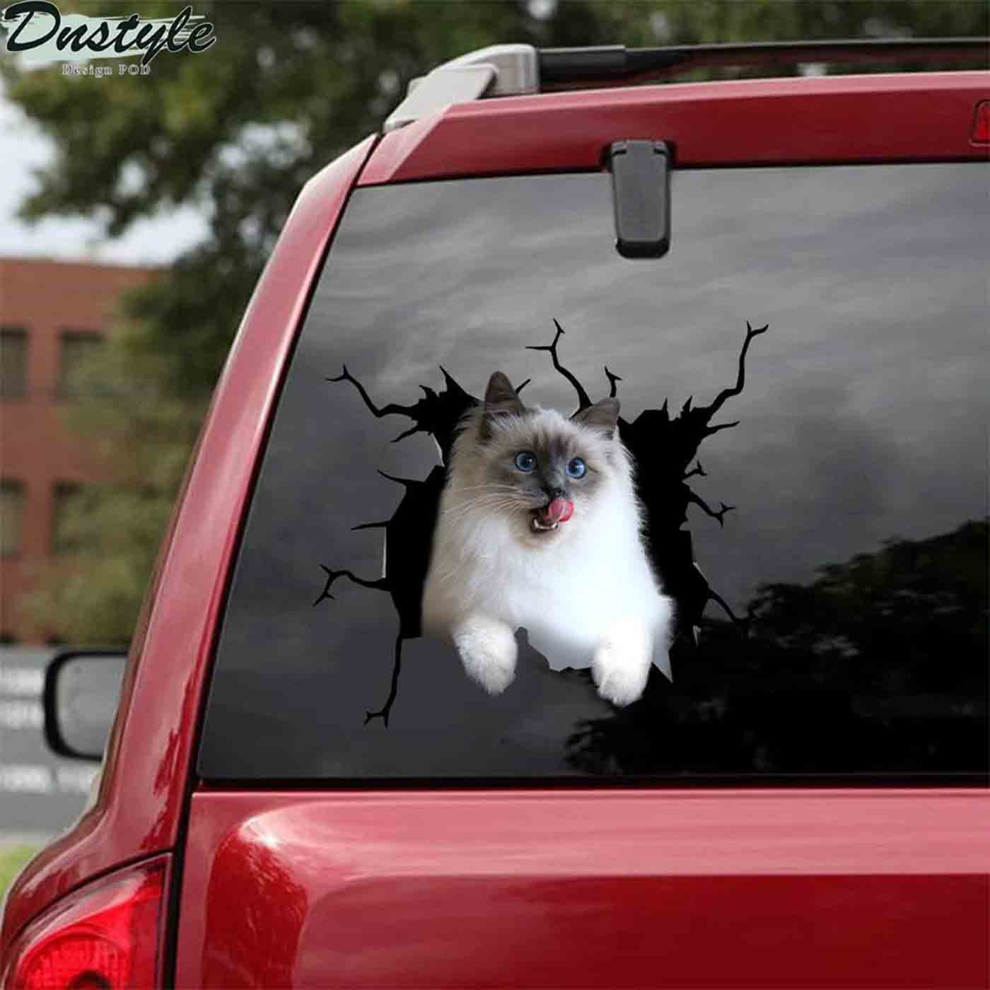 Ragdoll cat crack lick car decal sticker 2