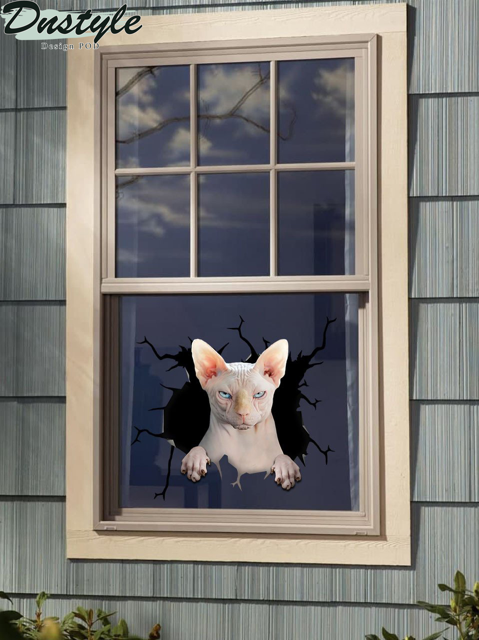 Sphynx cat crack window decal sticker