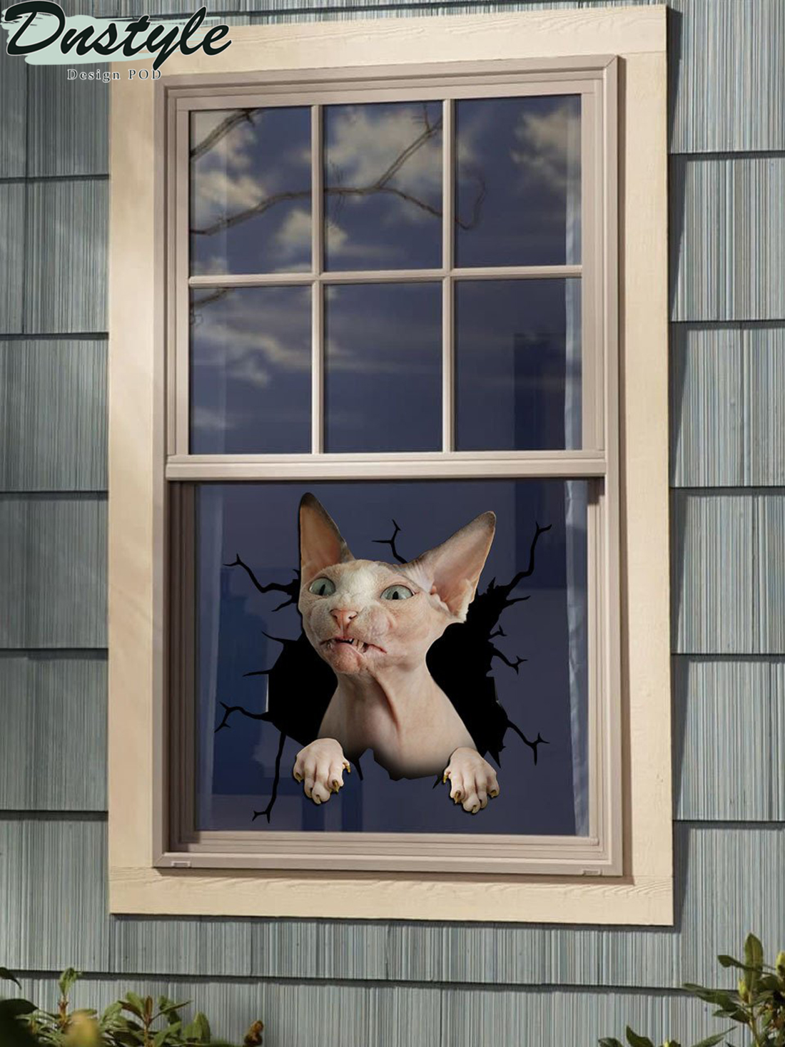Sphynx cat crack window sticker cats lover 1