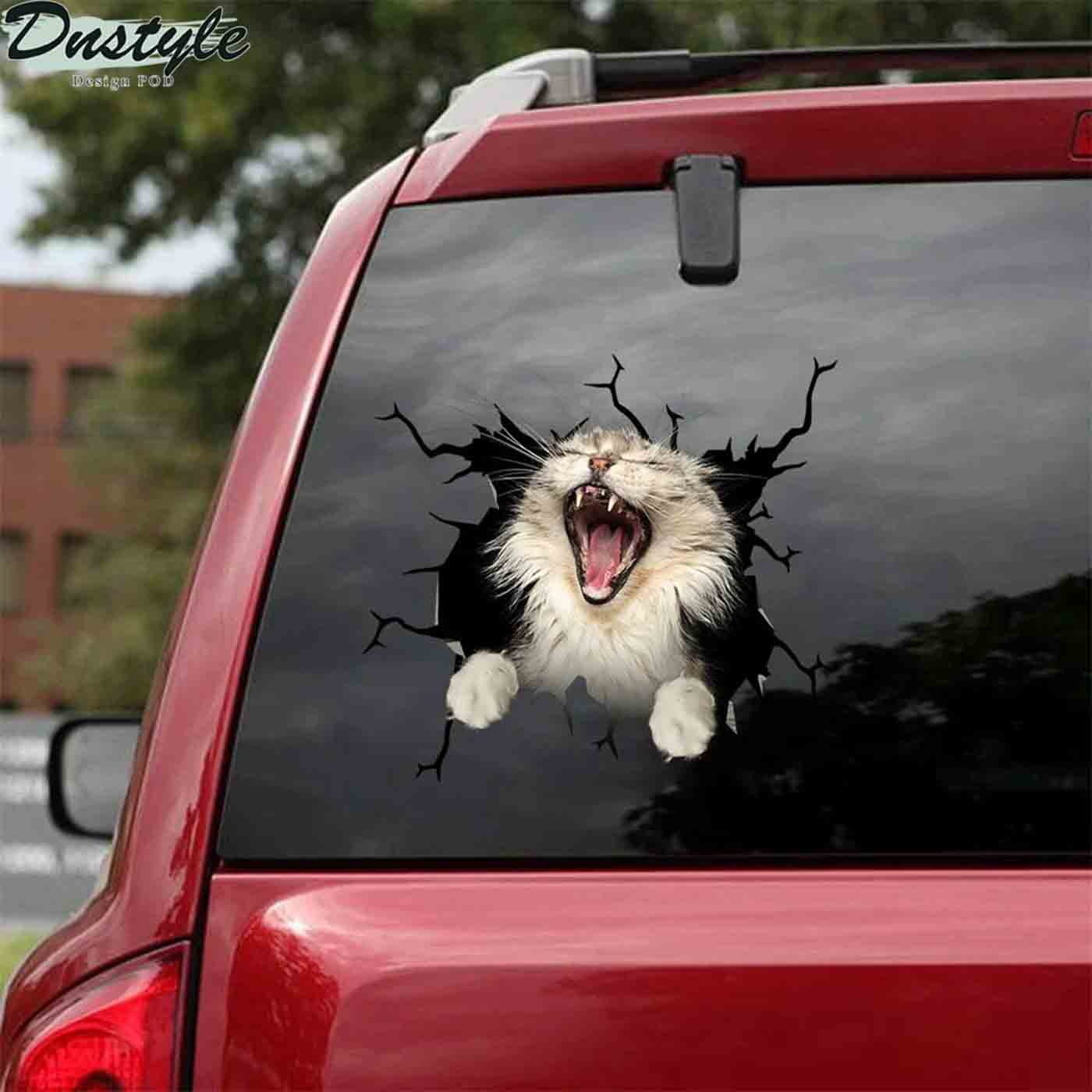 The maine coon yawn crack car sticker cats lover 2